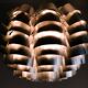 Modern mid-century chandelier Orion 48 by French sculptor Max Sauze.