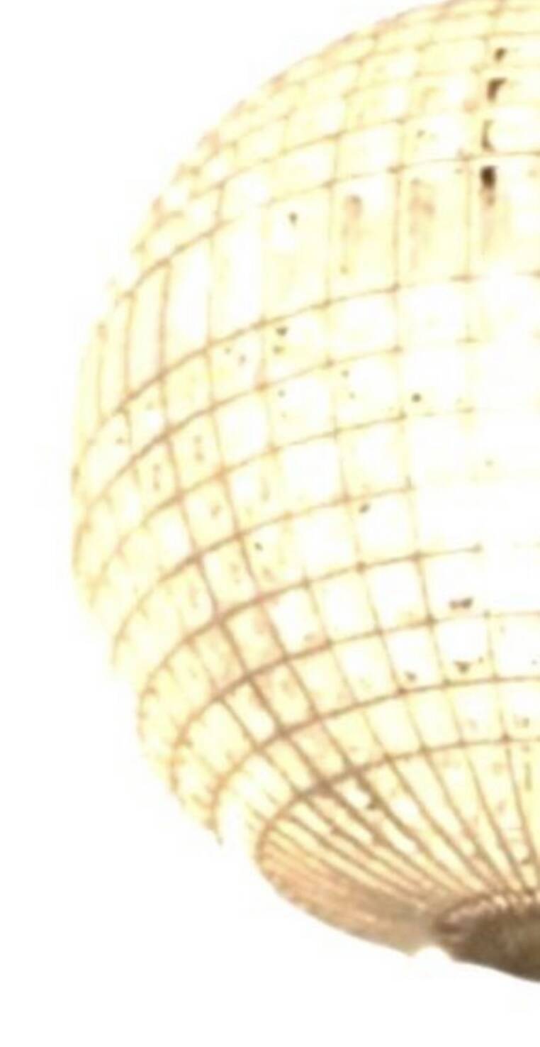 Spherical crystal pendant light