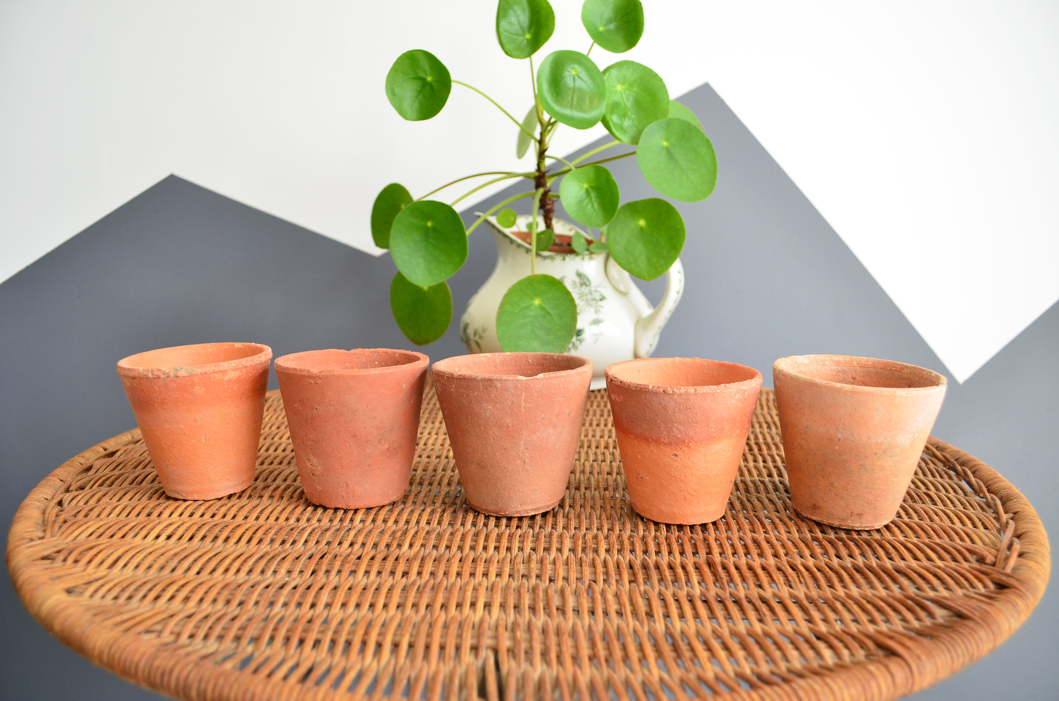 10 old terracotta seedling pots