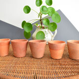 10 old terracotta seedling pots