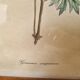 Paire de cadres vintage aquarelles fleurs