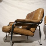 Pair of armchairs by Hans Eichenberger for De Sede