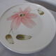 6 flat plates Sarreguemines