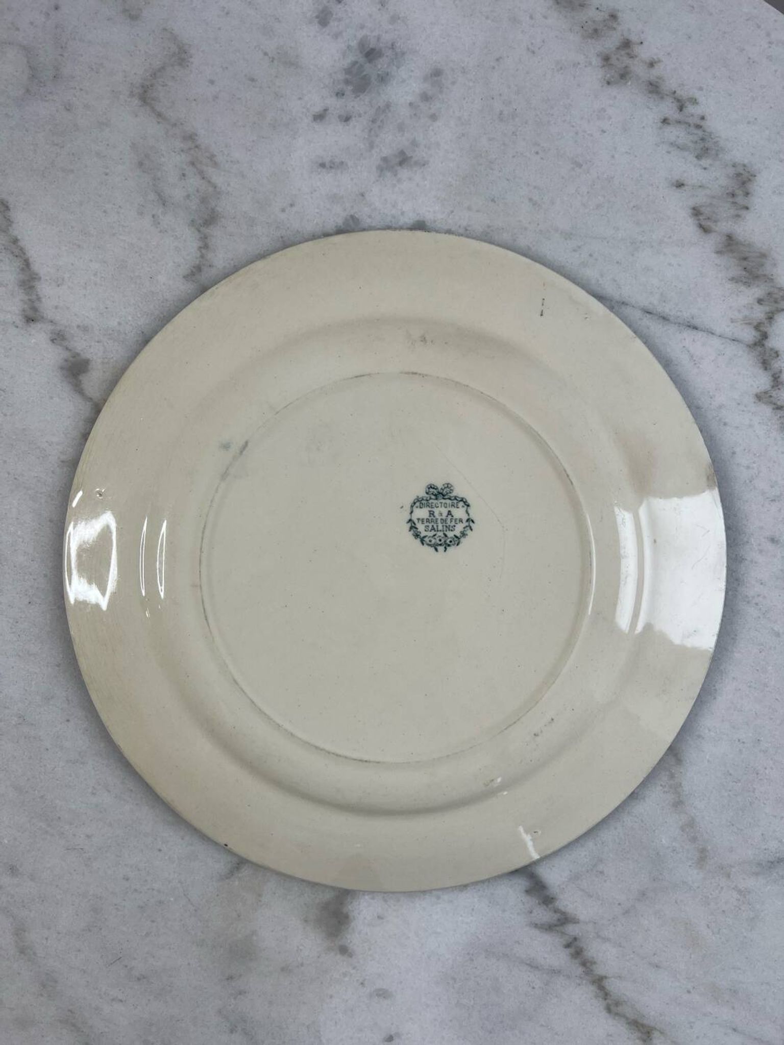Large ironstone plate, Directoire, Salins.