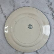 Large ironstone plate, Directoire, Salins.
