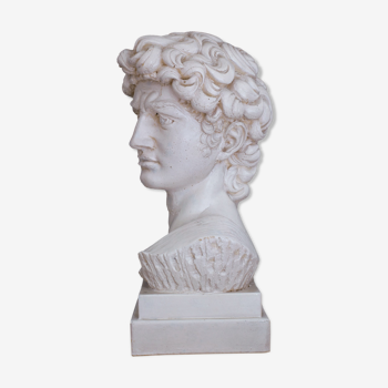 David Plaster Bust