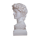 David Plaster Bust