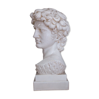 David Plaster Bust