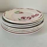 Set of 8 ironstone plates with coordinated designs.