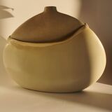 Ceramic with flattened body