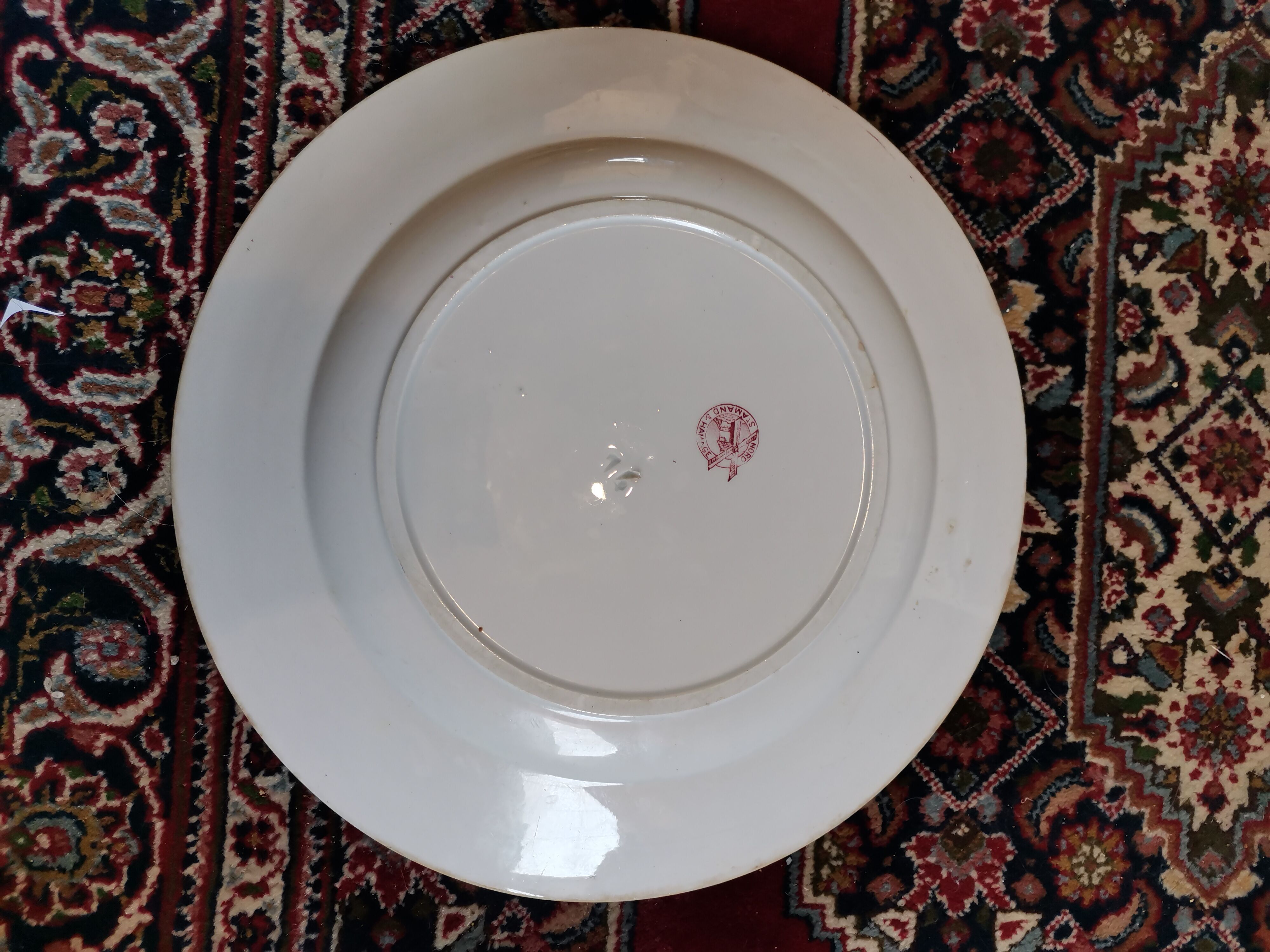 Plat St Amand rouge