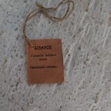 Terracotta stoneware vase Oscar Dempere Keramos