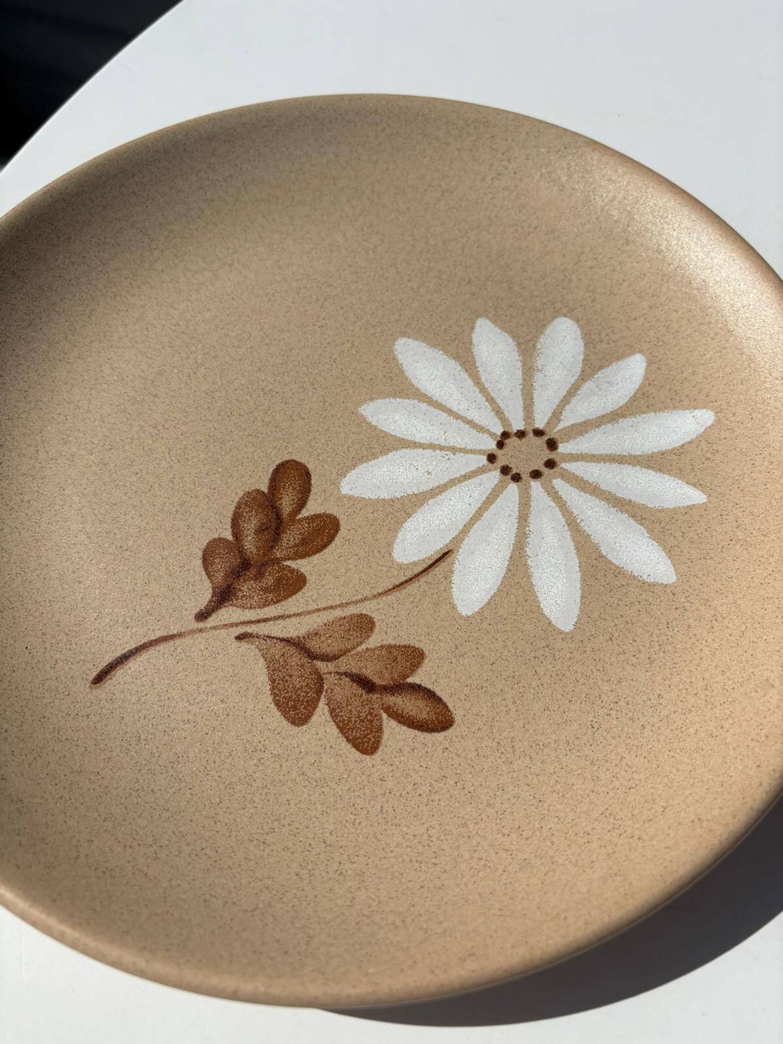 Assiette Vintage Faïence de St Amand – Modèle “Automne”