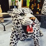 Snowleopard Ceramic