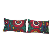 Lot de 2 housses de coussin brodées vintage 41x61 cm