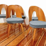 Set of five chairs, design. A. Suman, Tatra Nabytok, Czechoslovakia, 60s