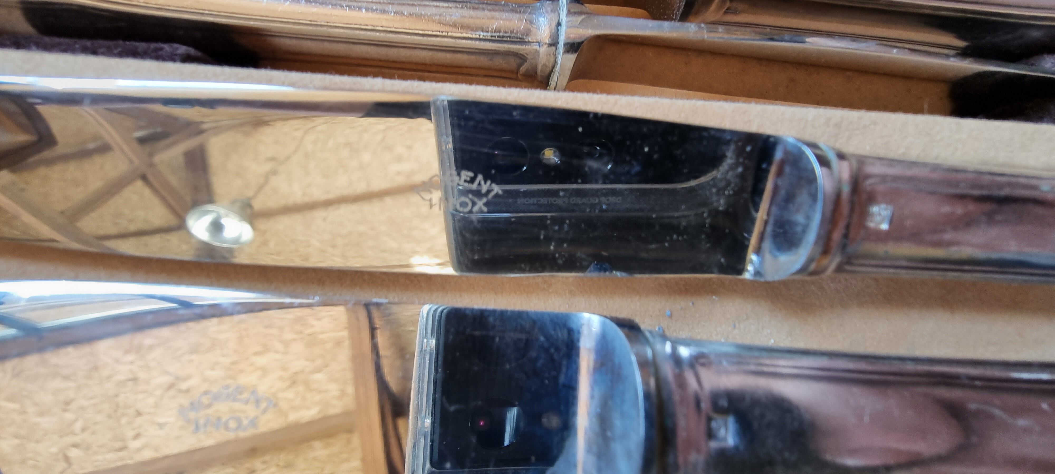 Housewife François Frionnet