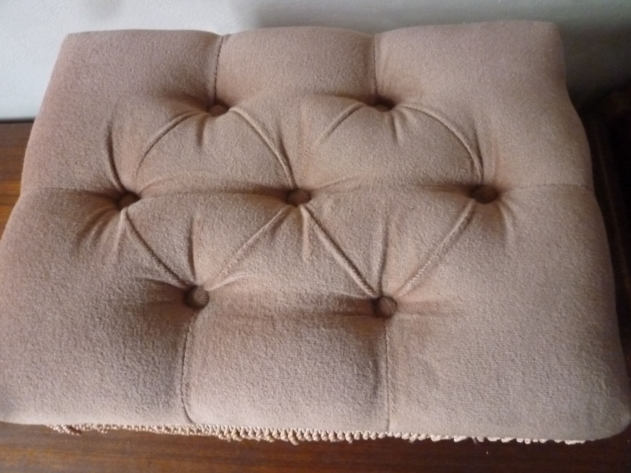 Rests English feet in velvet