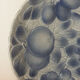 Old slightly hollow dish barbotine blue fruit Sarreguemines
