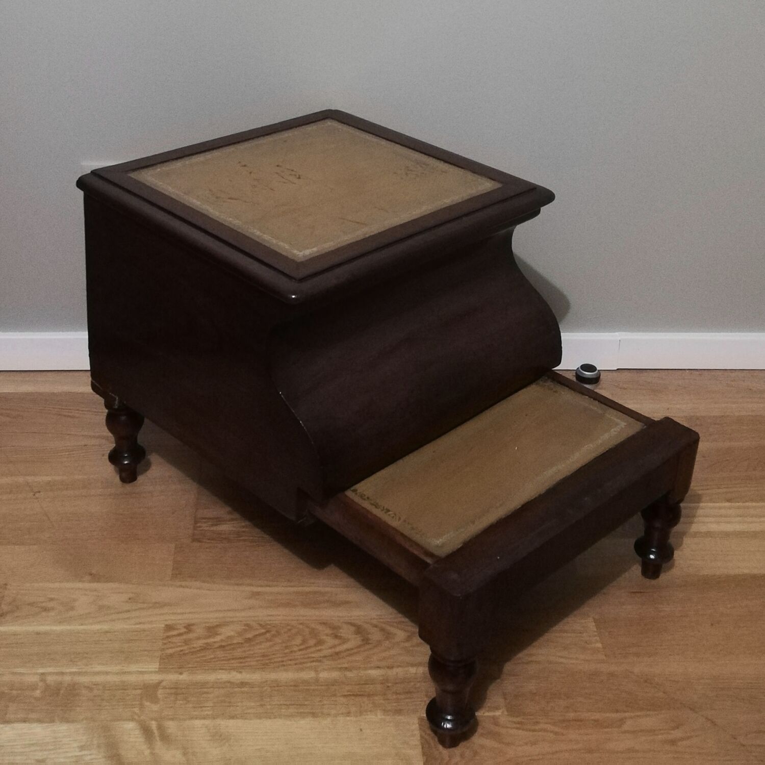 Old mahogany bookcase