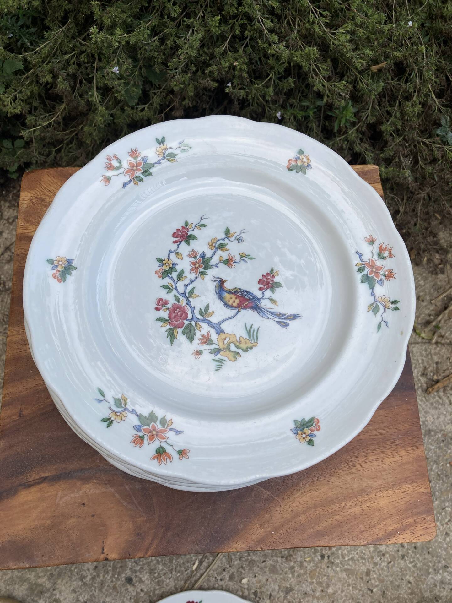 Sarreguemines plates paradise birds / Phoenix