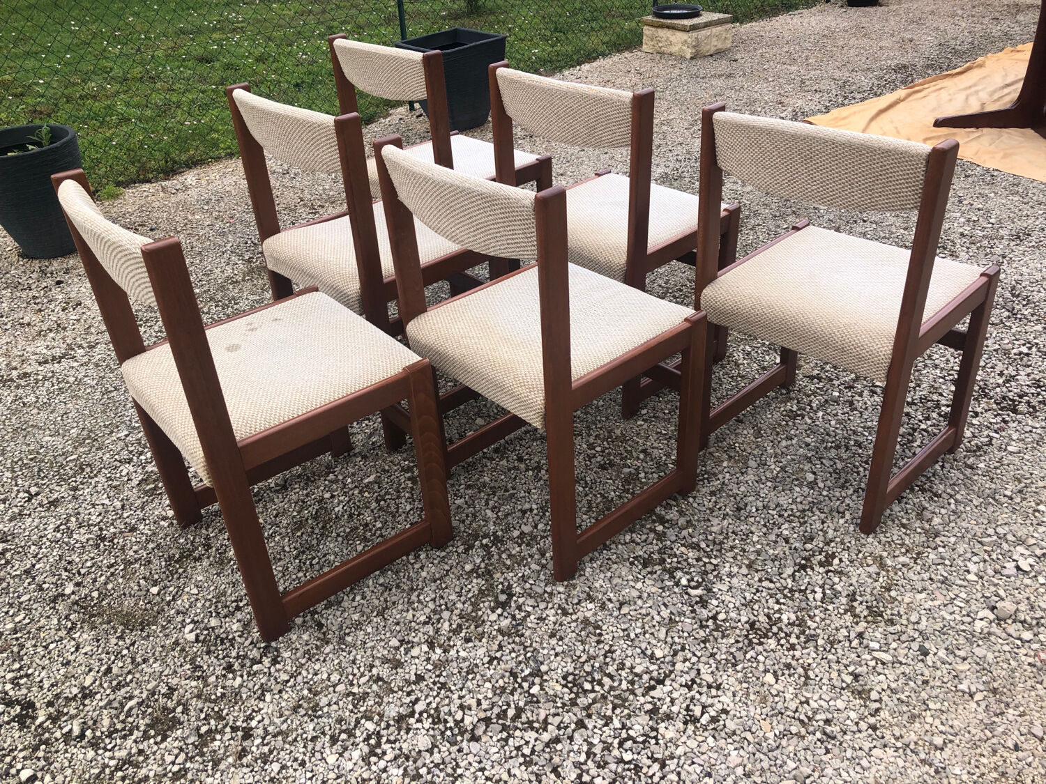 Suite 6 vintage chairs