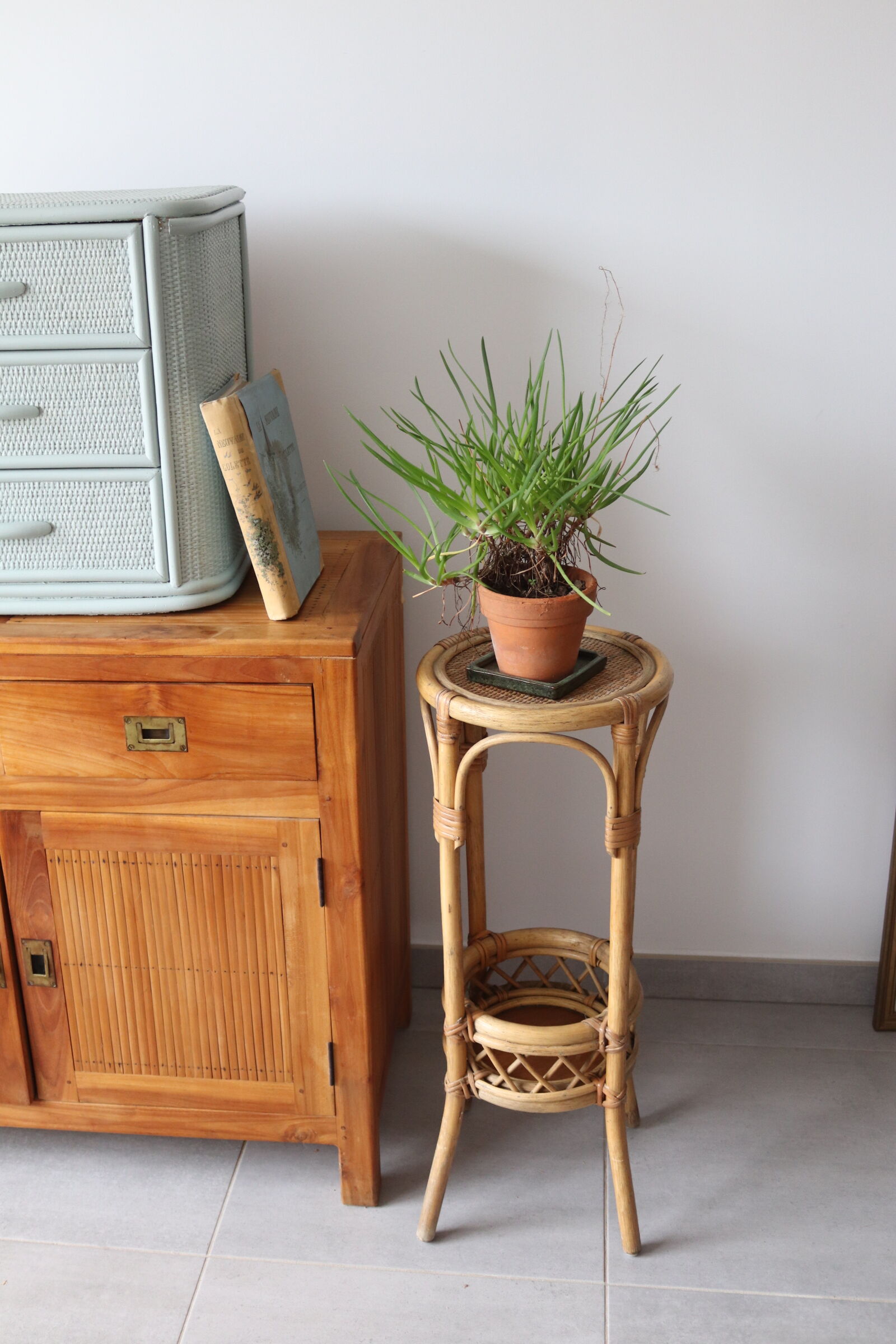 - High rattan harness