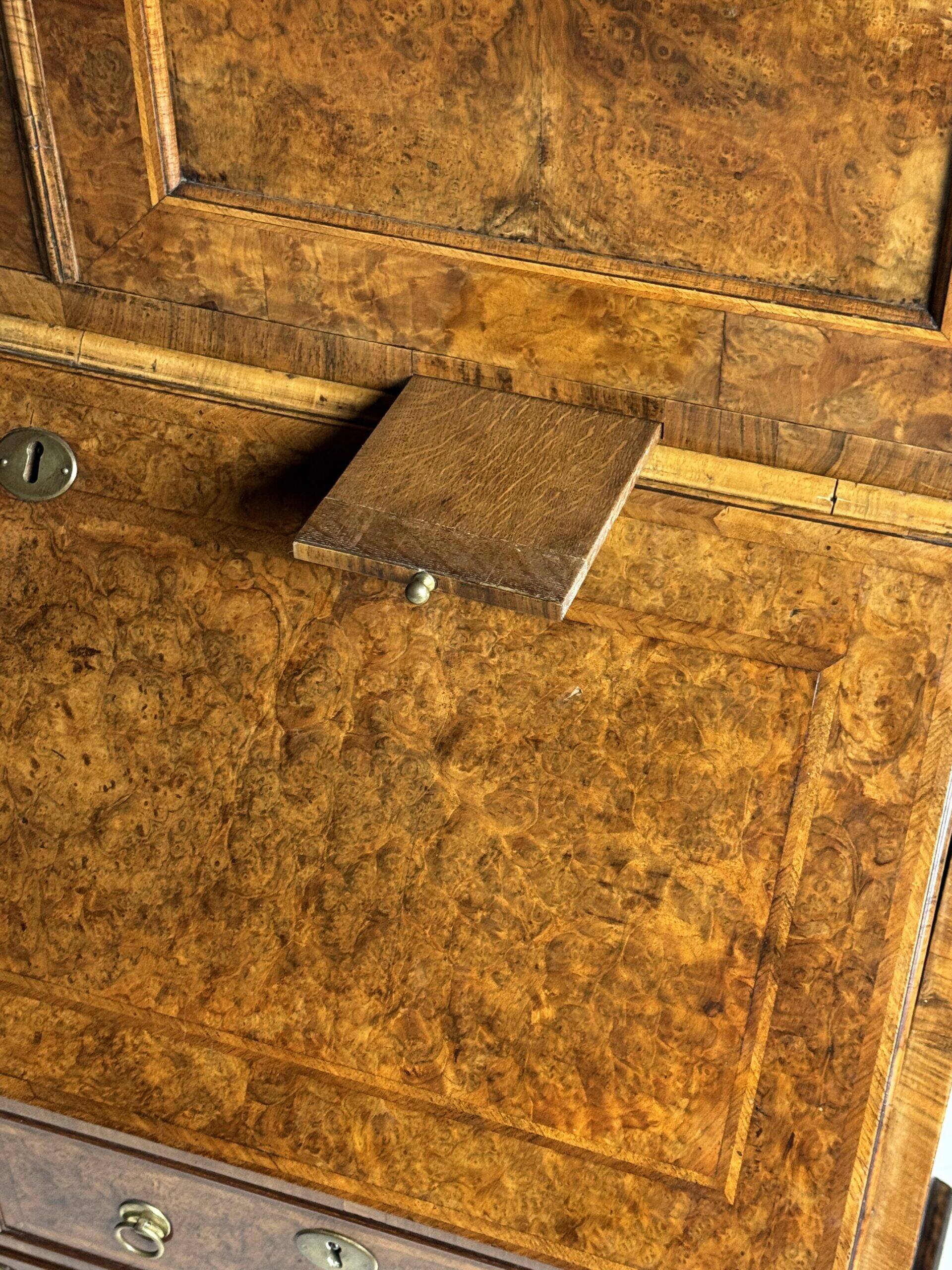 Burr walnut bureau bookcase 19th century