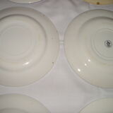 Set of 12 different flat plates