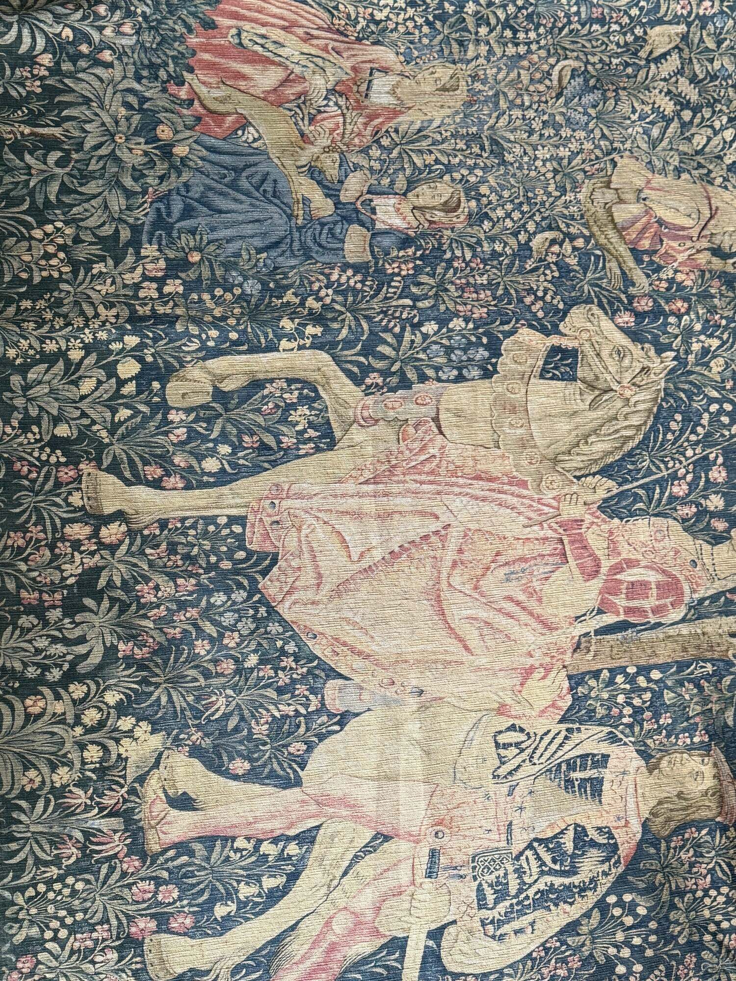 Aubusson tapestry, The Noble Amazon, Halluin stitch, 1950s
