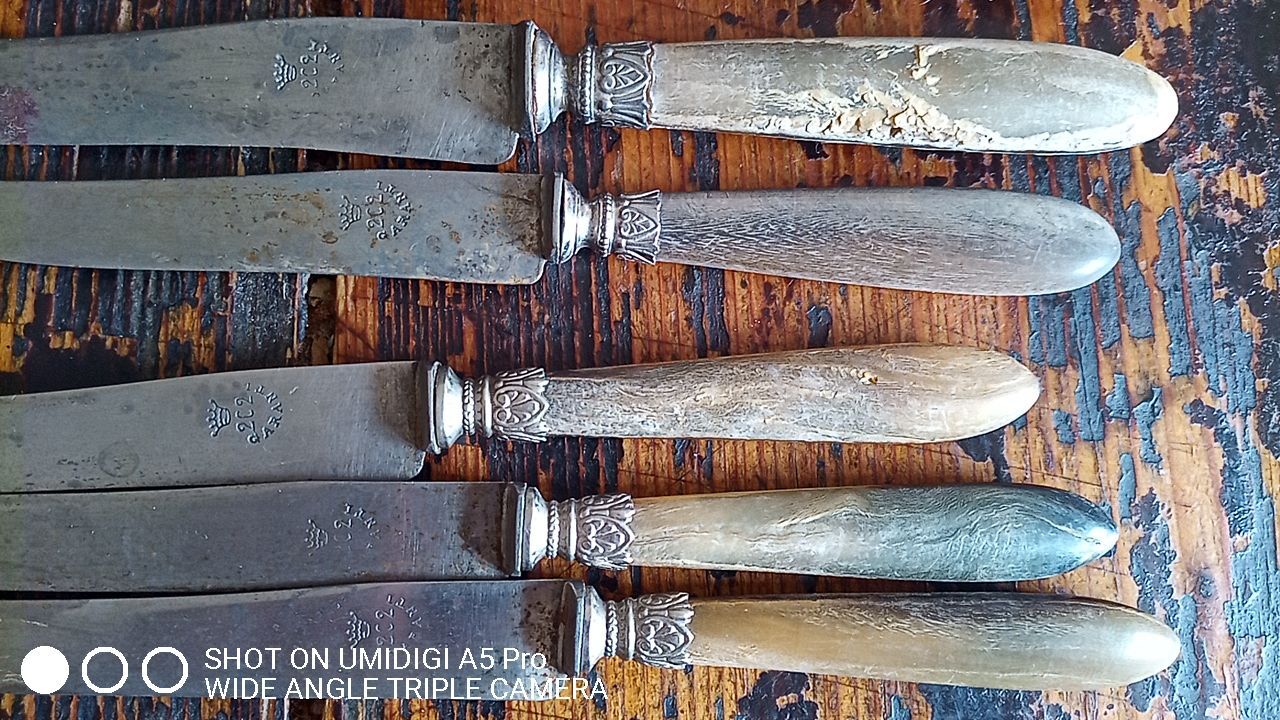 10 horn handle knives including 4 Berthier Valence - 5 logo with the crown 202