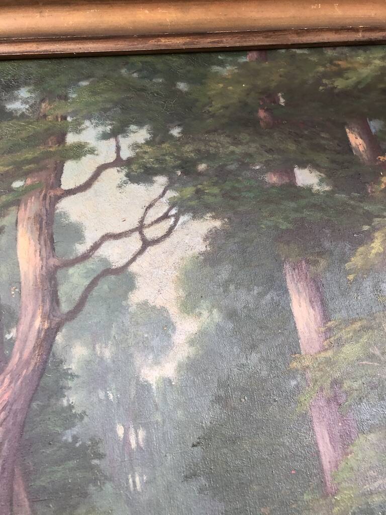 Oil canvas A.colomb 65 x 52 cm