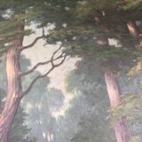 Oil canvas A.colomb 65 x 52 cm