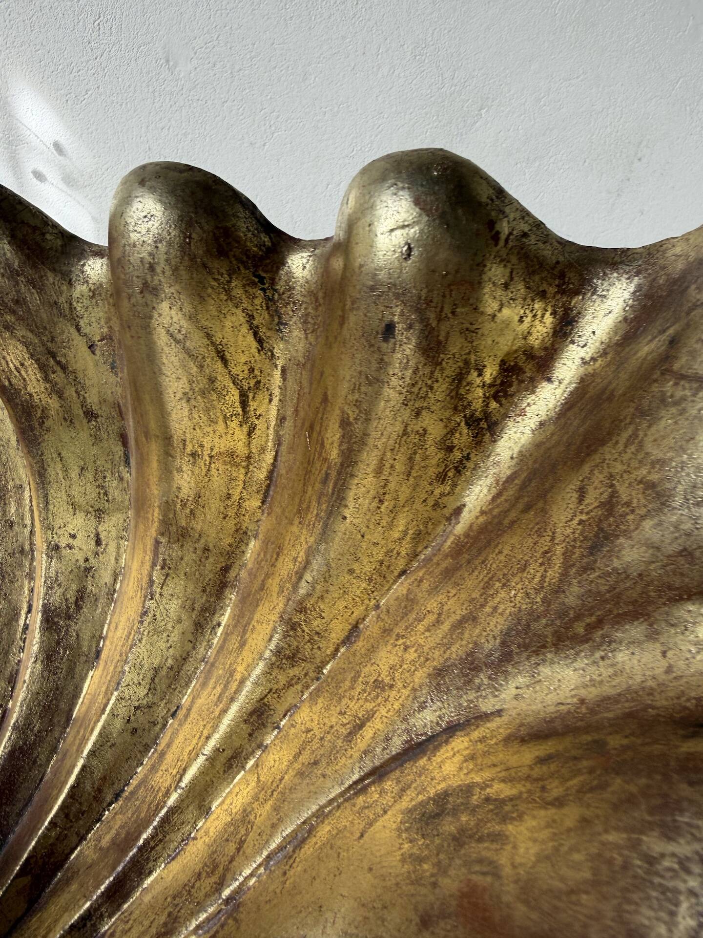 Immense wooden plate 1900 shell with golden patina