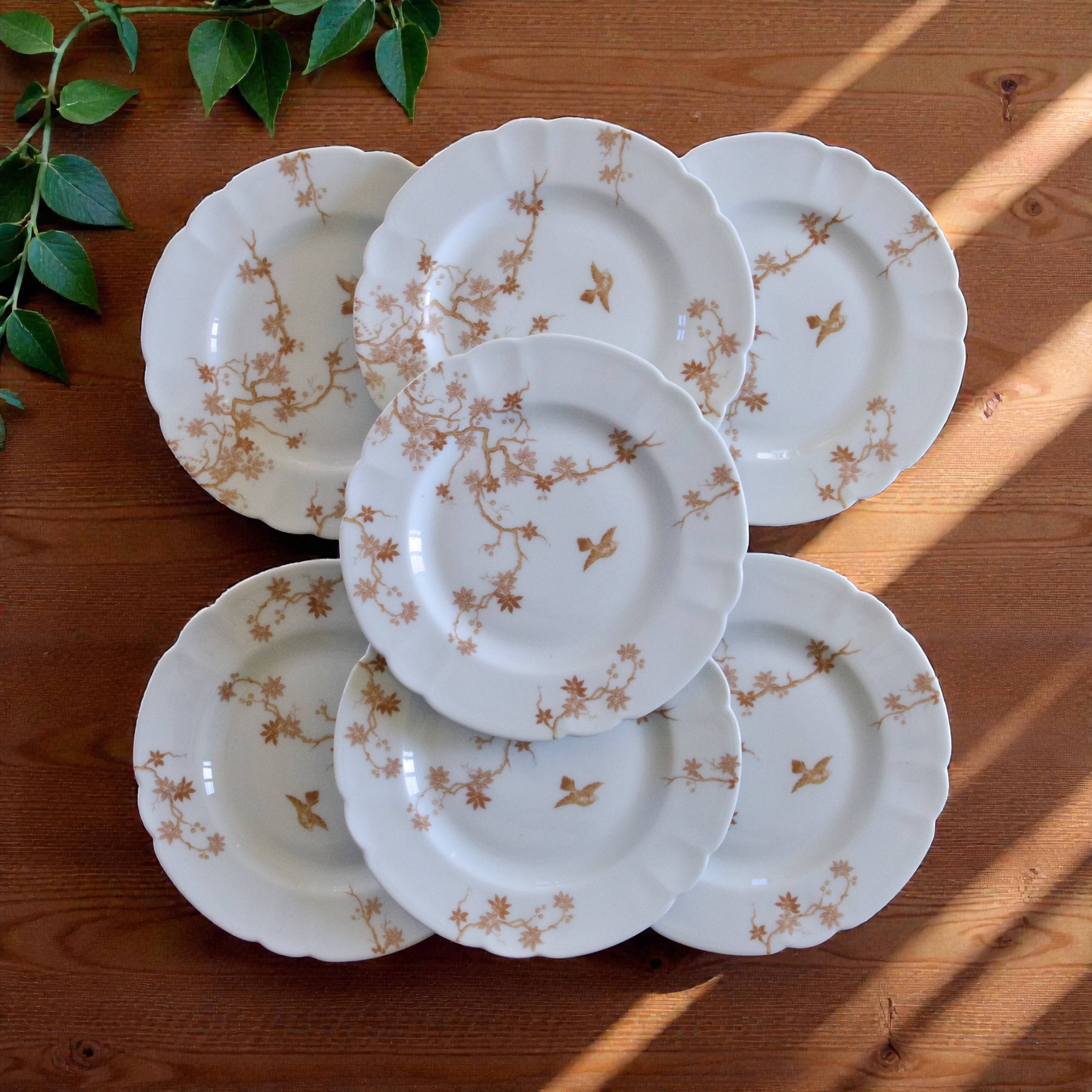Antique Limoges Haviland porcelain dessert plates, birds