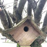 Garden Bird Nest