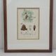 Botanical plate engraving Maritime pine Fournier