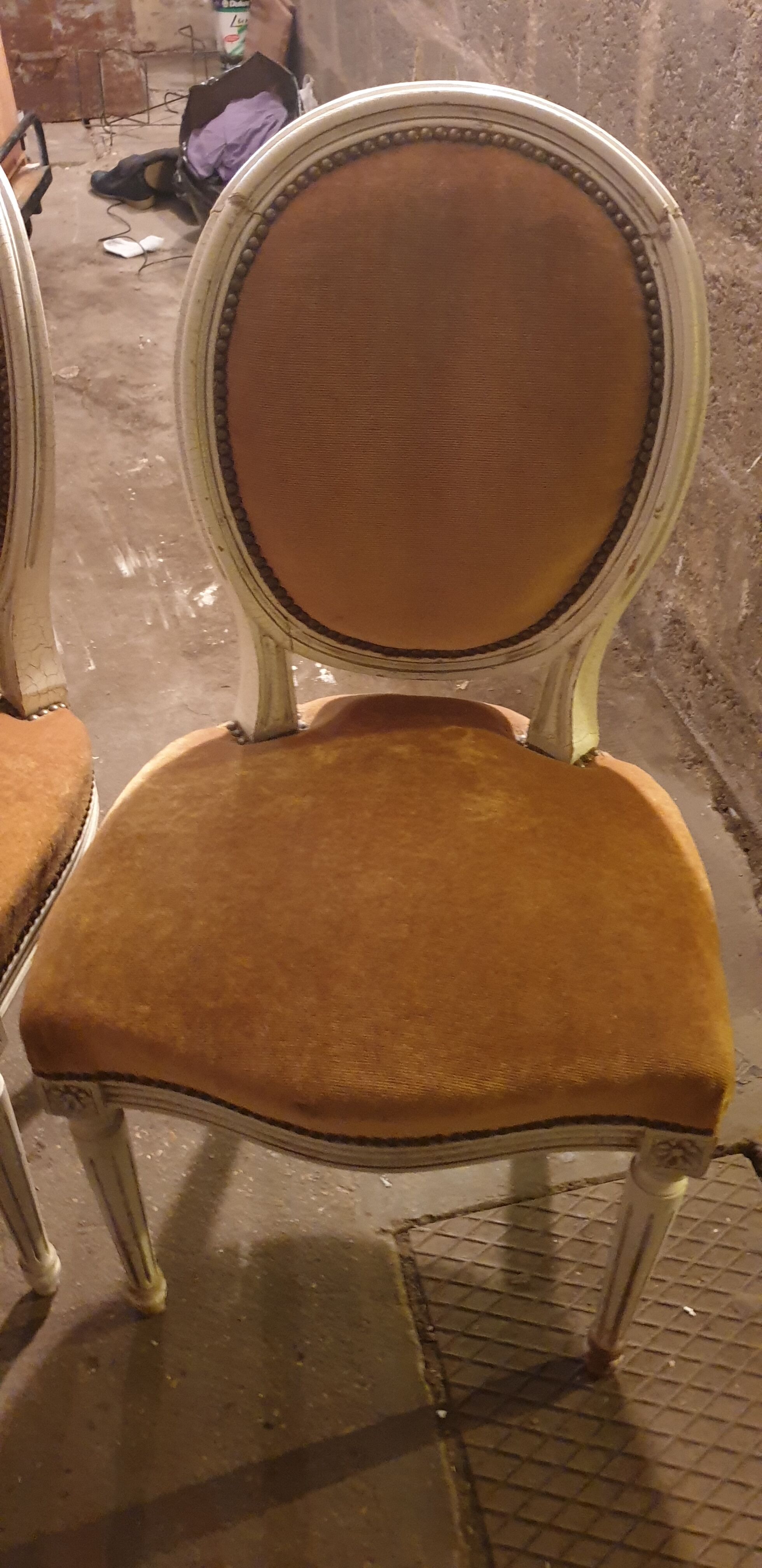 Chairs medallion Louis Louis XVI