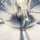 Lampe de Bureau Nuphar par Toni Zuccheri pour VeArt