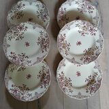 6 polychrome ironstone soup plates