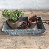 Zinc planter