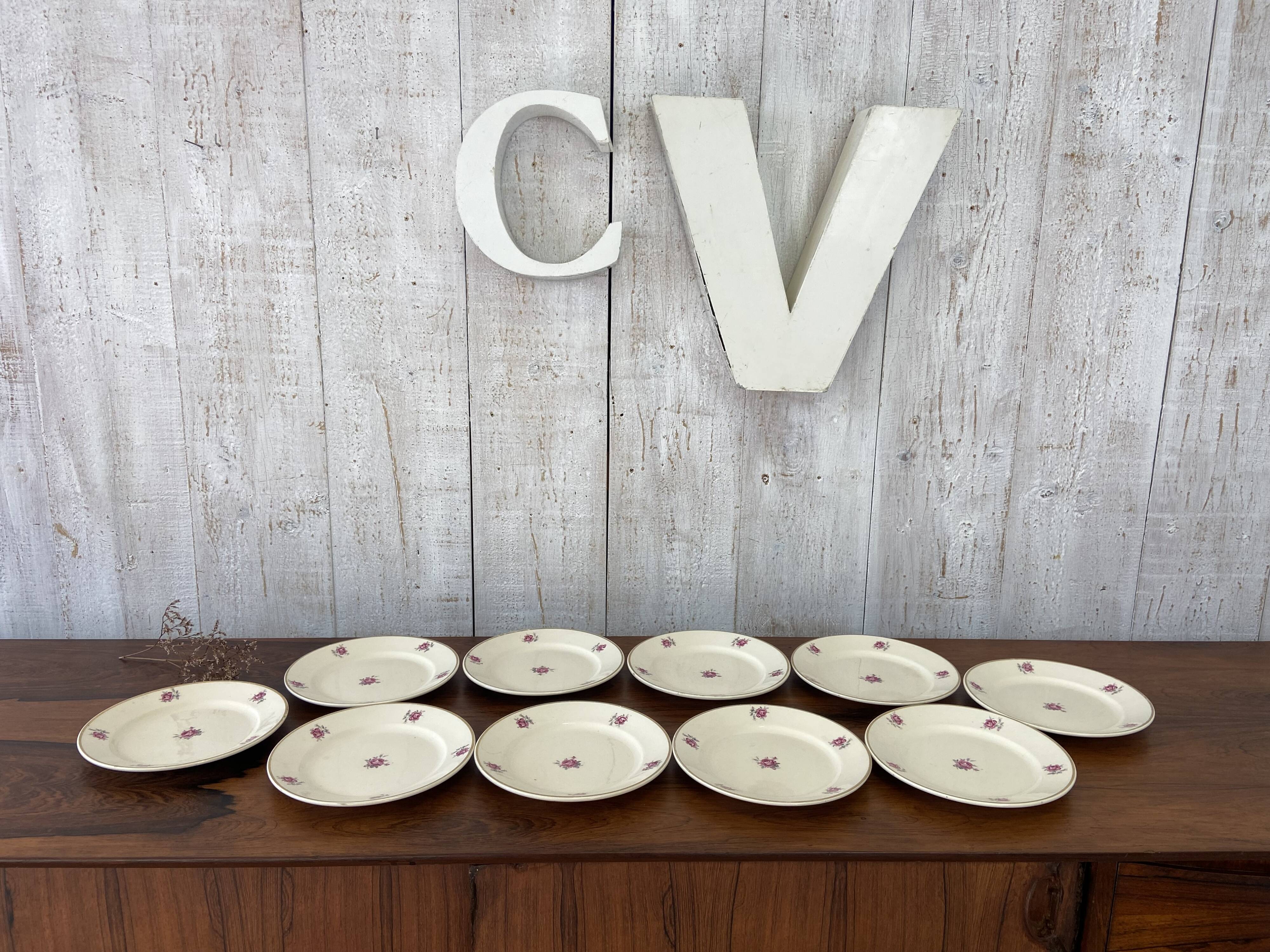 10 plates, 20cm diameter, "Rose" pattern