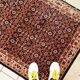 Tapis Indo-Tabriz Vintage Indien, Années 1980, Élégance Artisanale