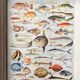 Old illustration Millot "Fish"