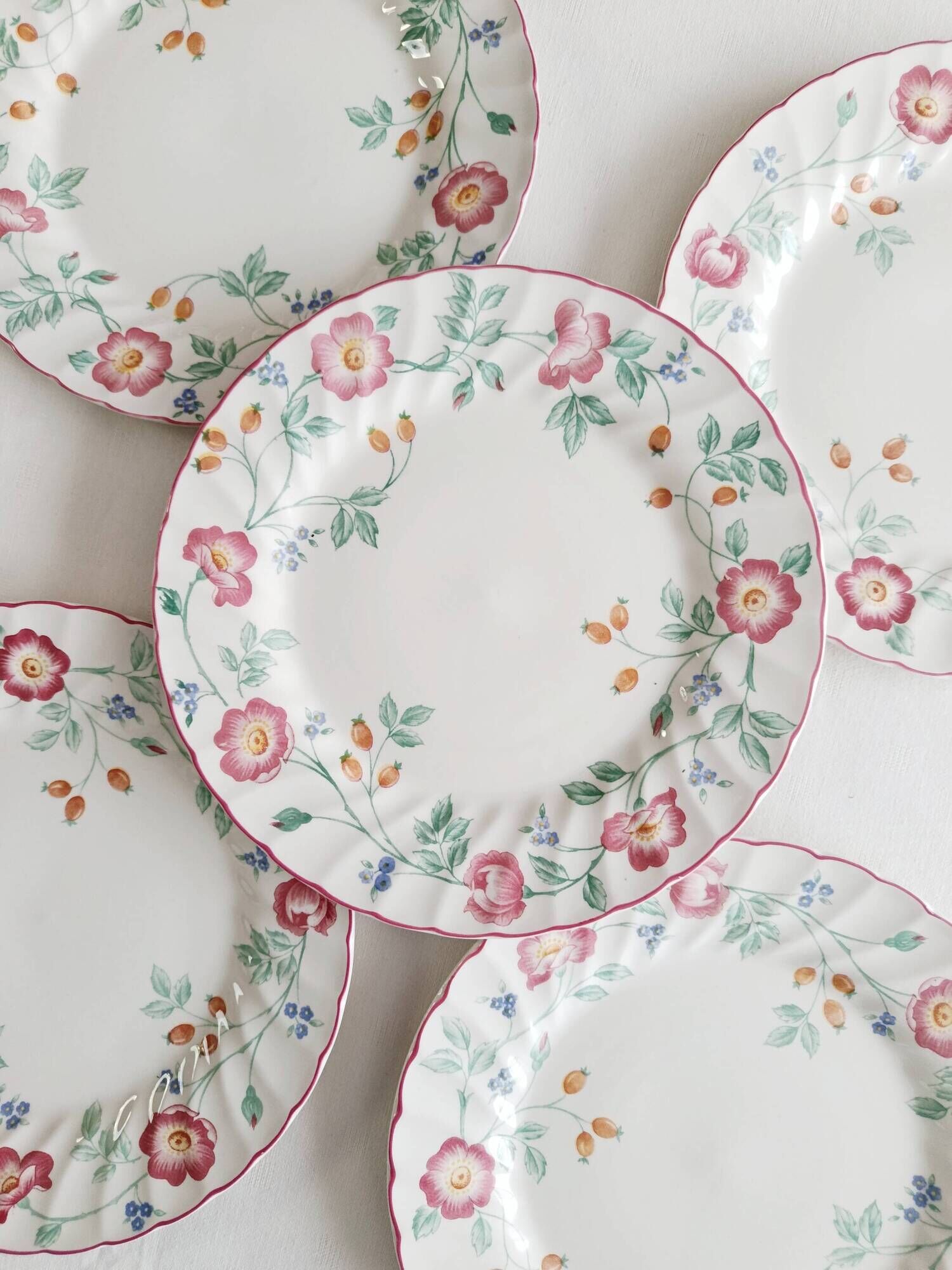 Set of 5 flat plates Churchill, Briar Rose