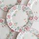 Set of 5 flat plates Churchill, Briar Rose