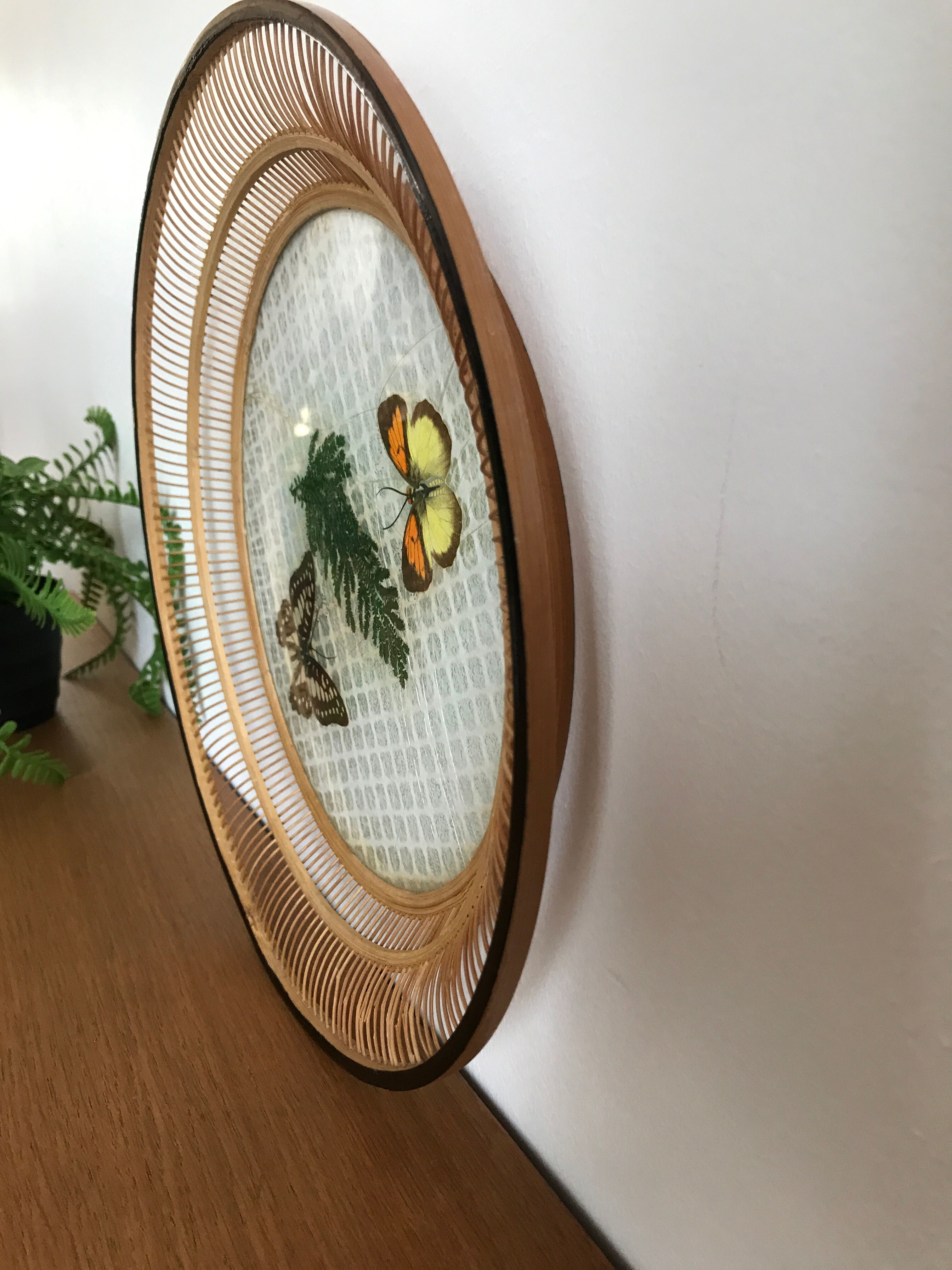 Empty bamboo pocket, glass and true butterfly wings