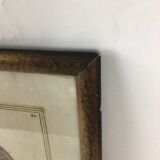 Ancient engraving birds