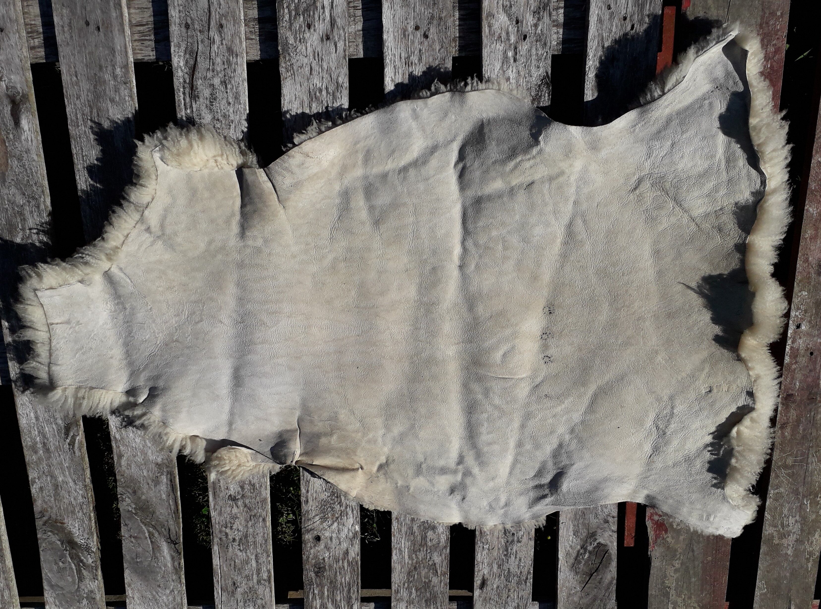 Sheepskin 64x123cm