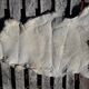 Sheepskin 64x123cm